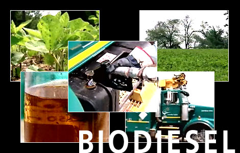 What You Should Know about Biodiesel Cars - Alternative ...