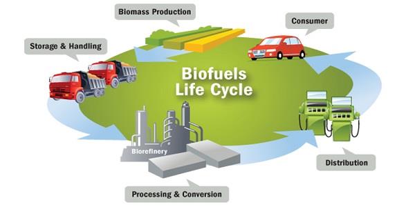 Biofuel powering cars