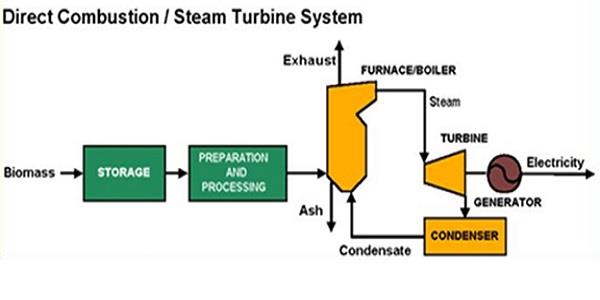 How biomass energy works