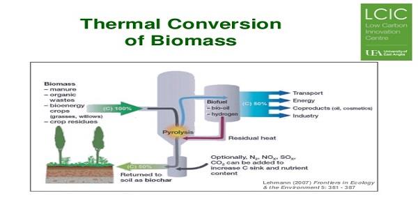 biomass-energy-the-definitive-guide-alternative-energy-sources