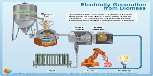 biomass energy and power