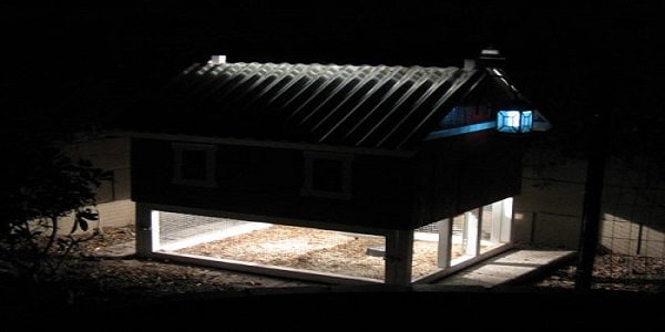 solar lights chicken coop